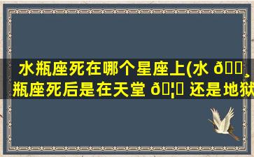 水瓶座死在哪个星座上(水 🌸 瓶座死后是在天堂 🦄 还是地狱)